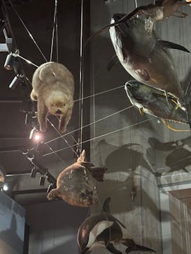 国立科学博物館に投稿された画像（2025/11/1）