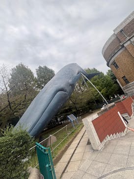 国立科学博物館に投稿された画像（2025/11/1）