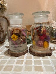 une graine（アングレンヌ）に投稿された画像（2025/11/1）