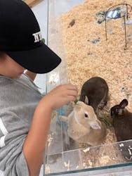 いきもの探検隊に投稿された画像（2025/11/1）