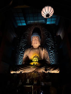 博多ライトアップウォーク実行委員会に投稿された画像（2025/11/1）