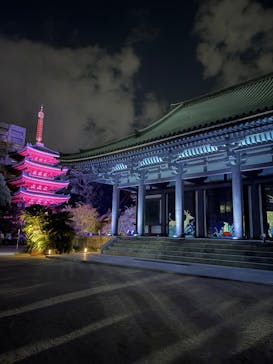 博多ライトアップウォーク実行委員会に投稿された画像（2025/11/1）