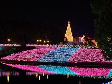 レオマリゾートに投稿された画像（2025/11/1）