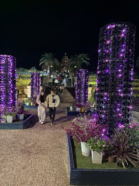 レオマリゾートに投稿された画像（2025/11/1）