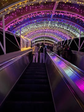 レオマリゾートに投稿された画像（2025/11/1）