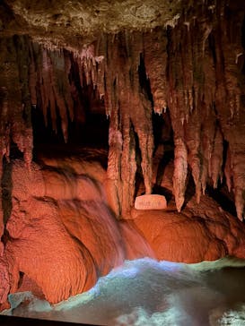 おきなわワールドに投稿された画像（2025/11/1）