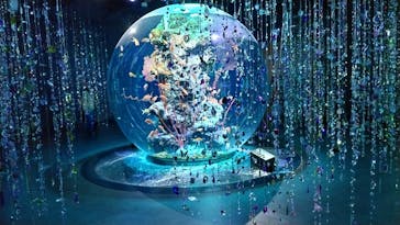 AQUARIUM × ART　atoaに投稿された画像（2025/11/1）