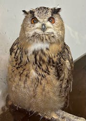 掛川花鳥園に投稿された画像（2025/11/1）