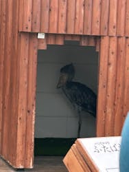 掛川花鳥園に投稿された画像（2025/11/1）