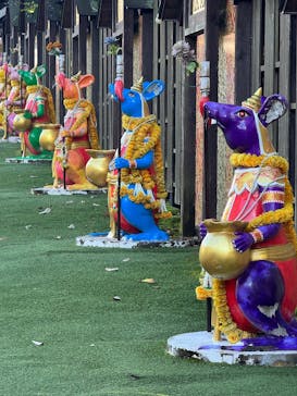 野外民族博物館 リトルワールドに投稿された画像（2025/11/1）