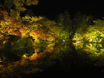 京都府立植物園　LIGHT CYCLES KYOTOに投稿された画像（2025/11/2）