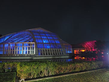 京都府立植物園　LIGHT CYCLES KYOTOに投稿された画像（2025/11/2）