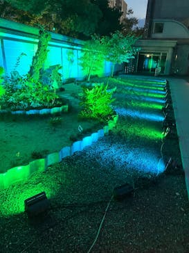 博多ライトアップウォーク実行委員会に投稿された画像（2025/11/2）