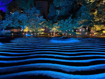 博多ライトアップウォーク実行委員会に投稿された画像（2025/11/2）