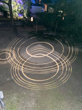 博多ライトアップウォーク実行委員会に投稿された画像（2025/11/2）