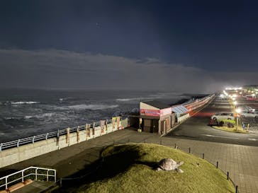 アクアワールド茨城県大洗水族館に投稿された画像（2025/11/2）