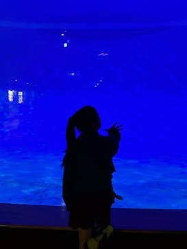 アクアワールド茨城県大洗水族館に投稿された画像（2025/11/2）