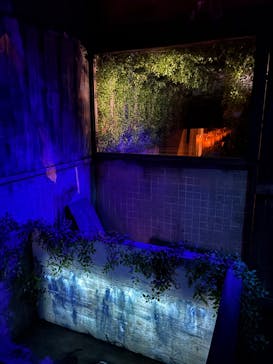 ホラーにふれる展に投稿された画像（2025/11/2）