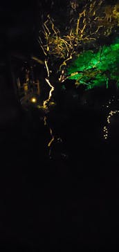 博多ライトアップウォーク実行委員会に投稿された画像（2025/11/2）