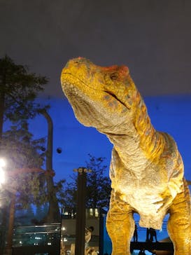 福井県立恐竜博物館に投稿された画像（2025/11/2）