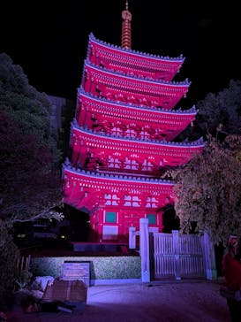 博多ライトアップウォーク実行委員会に投稿された画像（2025/11/2）