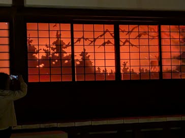 博多ライトアップウォーク実行委員会に投稿された画像（2025/11/2）