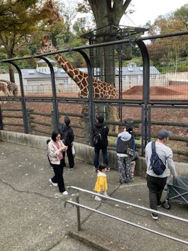 多摩動物公園に投稿された画像（2025/11/2）