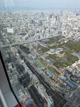 ハルカス300(展望台)に投稿された画像（2025/11/2）