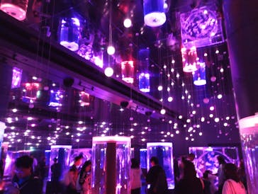 マクセル アクアパーク品川に投稿された画像（2025/11/2）