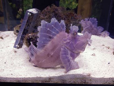 マクセル アクアパーク品川に投稿された画像（2025/11/2）