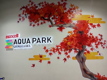 マクセル アクアパーク品川に投稿された画像（2025/11/2）