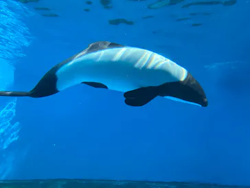 仙台うみの杜水族館に投稿された画像（2025/11/2）