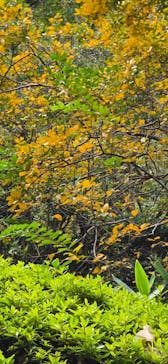 東京国立博物館に投稿された画像（2025/11/2）