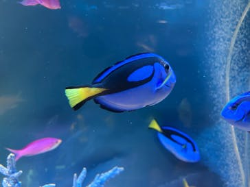 サンシャイン水族館に投稿された画像（2025/11/2）