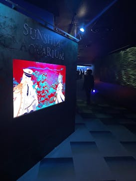 サンシャイン水族館に投稿された画像（2025/11/2）