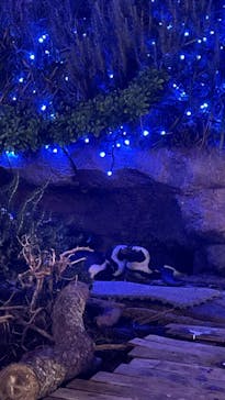 サンシャイン水族館に投稿された画像（2025/11/2）