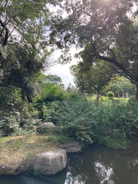 天王寺動物園に投稿された画像（2025/11/2）