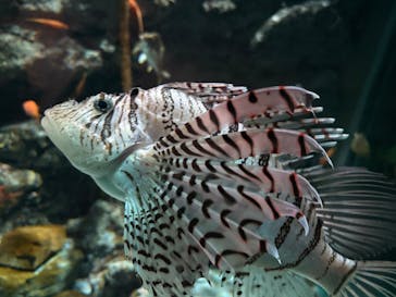 名古屋港水族館に投稿された画像（2025/11/2）