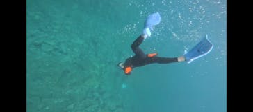 シュノーケリングピクニック(やったろうde高島)に投稿された画像（2025/11/2）