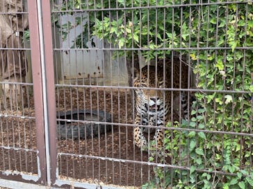 名古屋市東山動植物園に投稿された画像（2025/11/2）