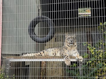 名古屋市東山動植物園に投稿された画像（2025/11/2）