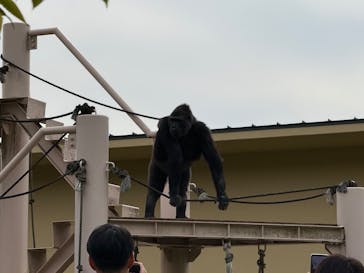 名古屋市東山動植物園に投稿された画像（2025/11/2）