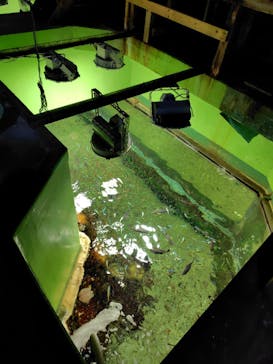 あわしまマリンパークに投稿された画像（2025/11/2）