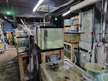 あわしまマリンパークに投稿された画像（2025/11/2）