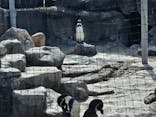 東武動物公園に投稿された画像（2025/11/2）