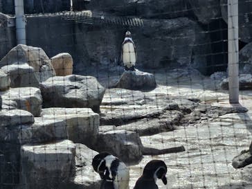 東武動物公園に投稿された画像（2025/11/2）