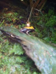 体感型カエル館KawaZooに投稿された画像（2025/11/2）