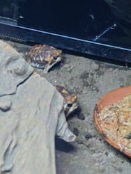 体感型カエル館KawaZooに投稿された画像（2025/11/2）