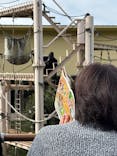 名古屋市東山動植物園に投稿された画像（2025/11/2）