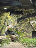 恩賜上野動物園に投稿された画像（2025/11/2）
